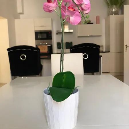 Apparemment Rue Lamonnoye 1 Er Etage