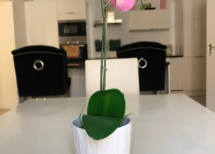 Apparemment Rue Lamonnoye 1 Er Etage